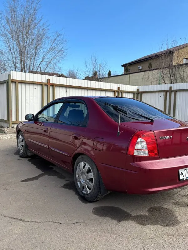 В продаже надежное авто kia shuma ll 2003г. 1.6 16-кл, механическая коробка передач 5-ст. кондиционер и печка работают, электрика работает, все светится, моргает. никаких технических проблем, авто доедет в любое место. за автомобилем ухаживали, все жидкости и фильтра менялись своевременно, подвеска пересобрана менее 1000км назад. гнилые арки, днище целое, домкратится везде. на переварку нет времени, комплект арок для переварки отдам вместе с ней. фото дна по запросу. стоит хороший свет, хорошая музыка. салон ухоженный. я хозяин, в дтп авто не участвовало. торг минимальный, обмен не интересует. цена: 225.000 руб 💸 +79591987280 г. луганск 📞 звоните: +7(959)1987280 - фотография - 3