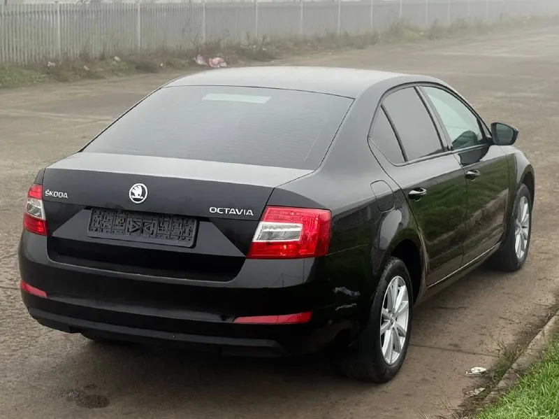 🚗🅰️🅰️🅰️ 🚘марка: škoda octavia a7 ⚙️двигатель: 1.6л ⛽️ топливо:бензин 📅год выпуска: 2014 📦кпп:автомат 💴цена: 1.400.000₽⬇️ 🗺пробег: 130.000 км 📱номер телефона: +7-949-4999-180 +7-949-5000-980 📝описание: -климат- контроль - подогревы сидений - комбинированные вставки салона с кожаными элементами - акустика, aux, usb - эл стеклоподъемники - эл регулировки зеркал - abs esp - безопастность (airbag) 📍•город мариуполь ул куприна 10• 📞 🇷🇺 звоните: +7-949-4999-180 +7-949-5000-980 - фотография - 4
