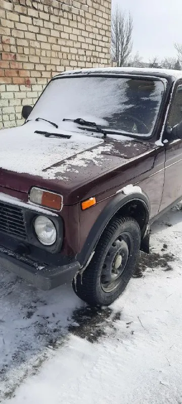 Нива 2011года, инжектор, гур. в очень хорошем состоянии. по ходовой:замена амортизаторов, подшипников, резинок и тд. по мотору:масло, антифриз, распредвал с кулаками, цепь. и тд двигатель масло не расходует абсолютно, антифриз никуда не уходит. всё работает, переключается, моргает, светит. , дует итд. прошу 375тыс торг у капота. дебальцево. +79490086401 📲 tg: aza asa 📞 звоните: +7(949)0086401 - фотография - 7