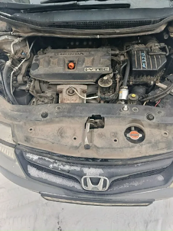 Honda цивик. 2008 г. в. 1.8 коробка робот. авто на полном боевом ходу. бензин газ двигатель контракт пробег 420к. цена 600000.торг уместен. т. +79493518982 📞 звоните: +7(949)3518982 - фотография - 3