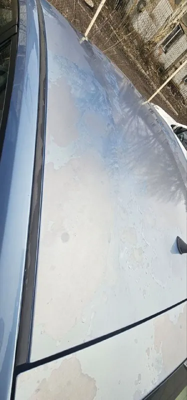 Продаётся toyota prius 2008 г. в. пробег 250 тыс км. климат контроль, камера заднего вида, безключевой доступ, зеркало с авто затемнением, музыка jbl и т. д. американка. 2 комплекта резины. учёт 180 регион. vin jtdkb20u687752953. по косметике: вмятина на капоте, по крыше полез лак. цена: 750000 руб. находится в донецке. +79493323676 📲 tg: павел 📞 звоните: +7(949)3323676 - фотография - 9