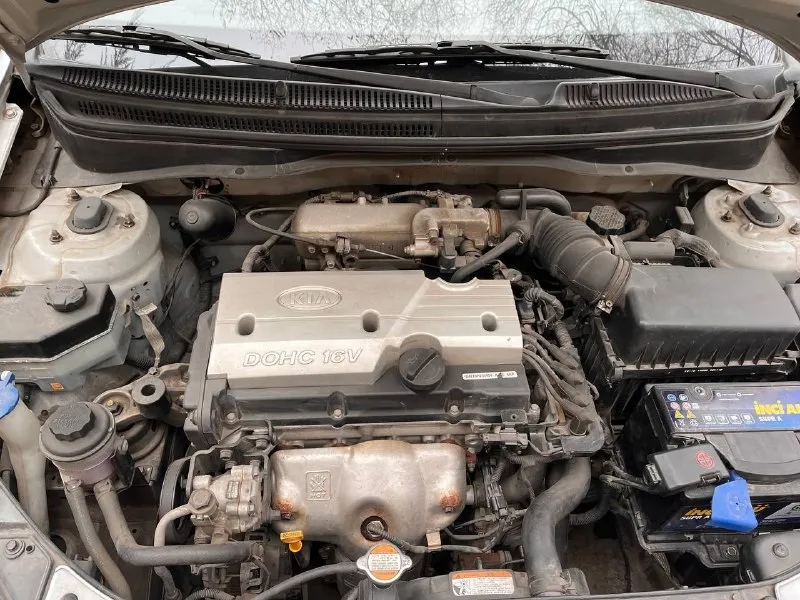 Продам kia рио 2009 год, пробег 15 000, один хозяин, покупалась в салоне при украине. Цена 650 000, торг при осмотре. С переоформлением помогу. +79495881060
📞 Звоните: +7(949)5881060 - фотография - 7