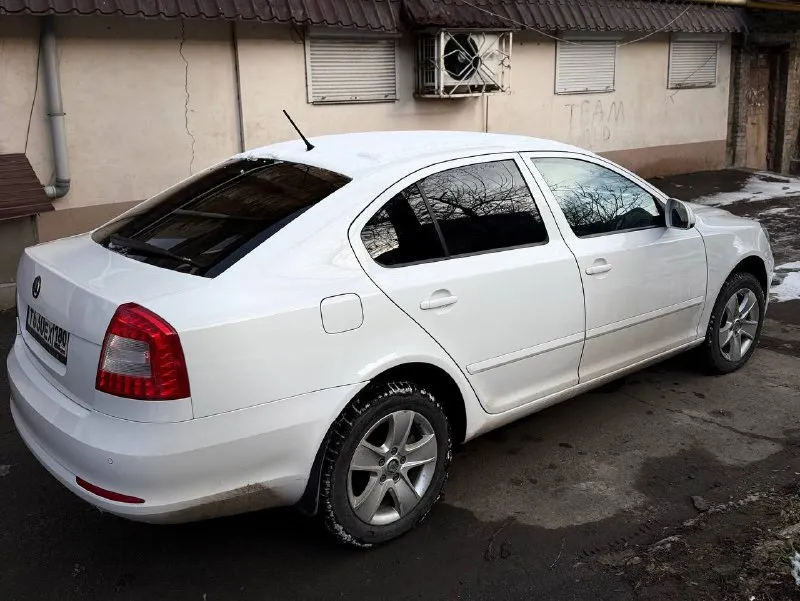 Продам личный автомобиль skoda octavia a5 1.8 tsi на классическом японском автомате aisin (не дсг) полностью обслуженный авто, вопросов и нареканий нет не чипованый, экология на месте пригонялся с чехии максимальная комплектация с адаптивными ксенон фарами, мультирулем, круиз контролем, климат контролем, подогревом всех сидений, окон, огромный багажник, подвеска с пакетом плохих дорог (выше клиренс) 217 родного пробега едет очень бодро, коробка переключает передачи отлично, пинков и прочего нет машину обслуживал всегда вовремя и денег на комплектующие не жалел менял масло летом каждые 5к, зимой 6 двигатель масло не ест, нет никаких течей, абсолютно сухо под капотом 16 колеса с дисками зима (шипы) и лето. 950 тысяч, торг +79787051015 - фотография - 3