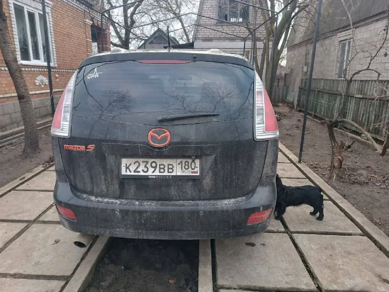 Продам mazda 5, 2008 г. в. объем 1.8 бензин, мкп в авто все работает, крутится, каждый день на ходу. хороший вариант для работы или большой семьи. любые проверки за ваш счет. цена: 600 000 рублей, минимальный торг, рассмотрю варианты обмена. связь: звонки или тг, м. т. +79493201791,+79043408336 - фотография - 2