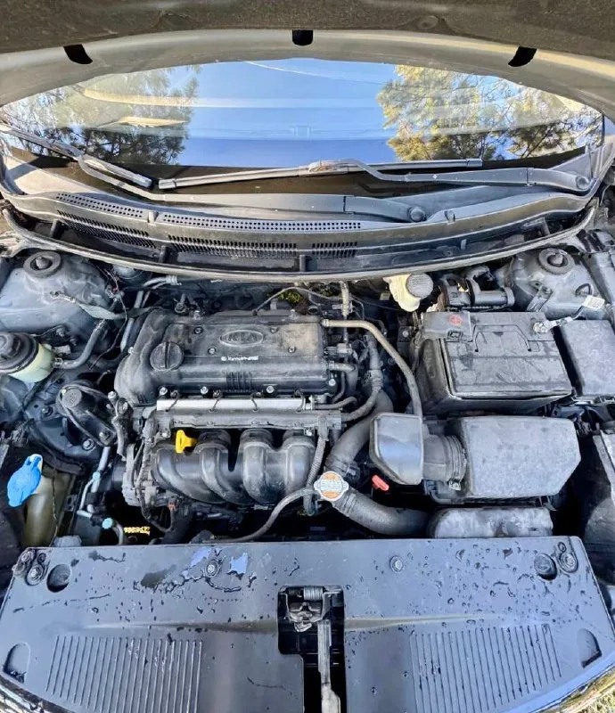 🇰🇷 Kia rio iii

💰Цена: 750 000р
🏢Город: мариуполь
📅Год выпуска: 2011
🧾Пробег: 182 162км.
⚙️Двигатель: 1.6
⛽Топливо: бензин
⚙️Кпп: автомат

📞 Телефон:

+7-989-263-55-56
+7-949-727-41-51
+7-949-551-91-52

💾 Описание:

Rio - зарекомен. .. Ть и комфорт.

✅ Хорошее техническое состояние
✅ Классический автомат
✅ Южная эксплуатация
✅ Кузов без коррозии

Кондиционер ❄️ (работает отлично), abs, airbag, электростеклоподьемники, гидроусилитель руля, центральный замок, android магнитола с камерой заднего вида.

➕Автомобиль с пройденным техническим осмотром и готов к переоформлению.

Улица шевченко 2️⃣6️⃣9️⃣

🏦 Возможна продажа в кредит по двум документам. - фотография - 7