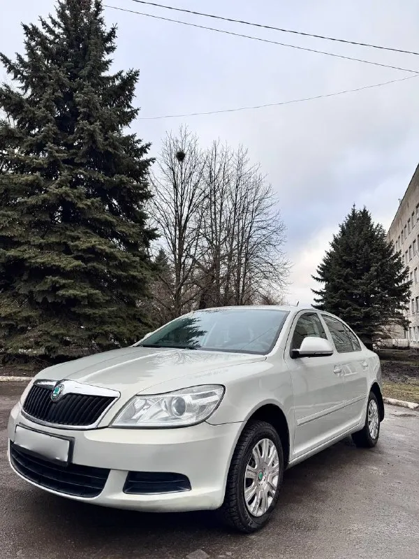✅в продаже skoda octavia a5 1.6 автомат aisin пробег 186.000км эксплуатация в одной семье! модельный год: 2012( и эксплуатация с февраля 2012) дата производства: 09.12.2011 без дтп без выплат без юридических лиц без юридических рисков не такси абсолютно без каких либо повреждений! без рыжиков и гнили! все стёкла родные! вложений не требует абсолютно никаких! на самом надёжном и настоящим автомате не дсг!!!!! в красивом цвете( не белая ) ✅очень хорошая комплектация с кондиционером, и всем необходимым, авто запуск с двух ключей, в авто 3 заводских ключа, хорошая мультимедиа на стекле заднего вида! вся электрика работает отлично! предпоследняя комплектация! (на таком моторе) 📋полный пакет кристально чистых документов! 🧑‍🧑‍🧒‍🧒авто семейное очень вместительное и мягенькая, очень комфортный автомобиль 🎁цена 875.000( разумный торг) также расматрю обмен по всем вопросам обращайтесь ☎️ +7 (949) 449-59-51 +7 (949) 563-98-77 📞 звоните: +7(949)4495951 - фотография - 4