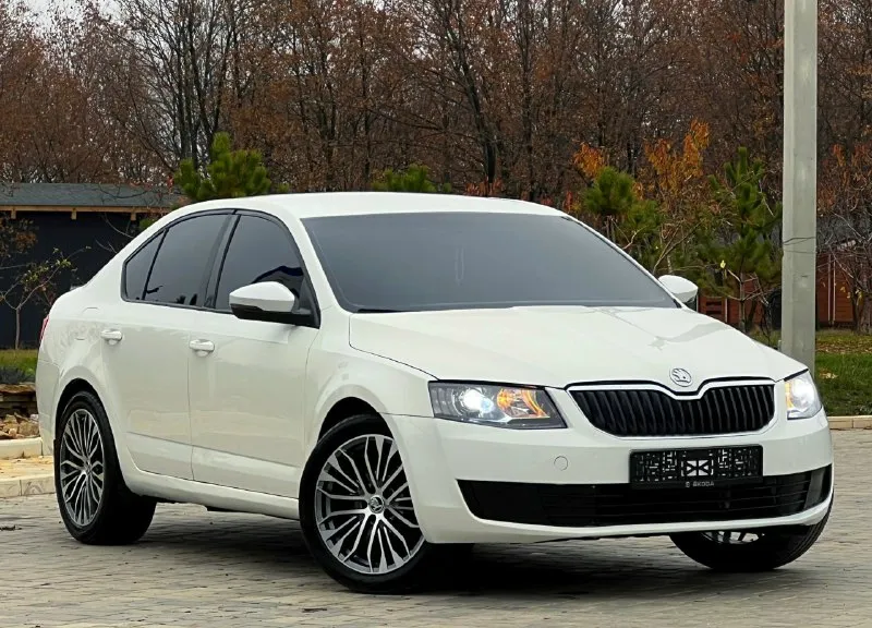 В продаже skoda octavia a7 в превосходном состоянии, обслужена абсолютно вся ! вложений не каких не... - фотография