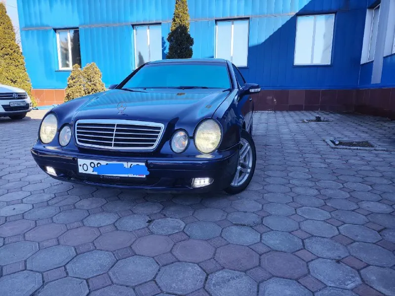 Продам мерена сlk купе 2.0 литра. механика на 111 маторе самый лучший и не убиваемые. машина обслужена полностью ни каких вложений не требует. часики не грамма масла не расходует не траит не дымит. работает каждая кнопочка. стабилизация круиз, кондиционер, подогревы сидушек кожаный салон. ходовка как мячик, диски амг резина новая зима. рыжиков и ржавчины нет!!! сел поехал!!! возможен обмен в приорете нива. осмотр г. енакиево цена 520 т. р. тел +79493176466 📲 tg: александр 🐾 📞 звоните: +7(949)3176466 - фотография - 2