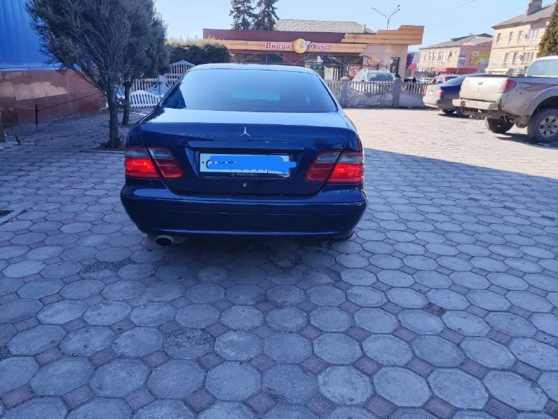 Продам мерена сlk купе 2.0 литра. механика на 111 маторе самый лучший и не убиваемые. машина обслужена полностью ни каких вложений не требует. часики не грамма масла не расходует не траит не дымит. работает каждая кнопочка. стабилизация круиз, кондиционер, подогревы сидушек кожаный салон. ходовка как мячик, диски амг резина новая зима. рыжиков и ржавчины нет!!! сел поехал!!! возможен обмен в приорете нива. осмотр г. енакиево цена 520 т. р. тел +79493176466 📲 tg: александр 🐾 📞 звоните: +7(949)3176466 - фотография - 5