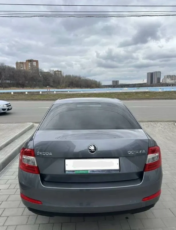 Skoda octavia a7 - 2015 года, объём 1.6 самый надежный мотор, на механике. 190 тысяч км пробега. автомобиль в идеальнейшем состоянии, машина прошла то, эксплуатация сугубо в гараже, нареканий нет никаких, от слова совсем! в комплекте все ключи ( два ключа ) сервисные книги, записи всех то, обслуживание на офф дилере, за более детальной информацией звоните! цена 1.250 🍋 торг или обмен +79495180296 - фотография - 6