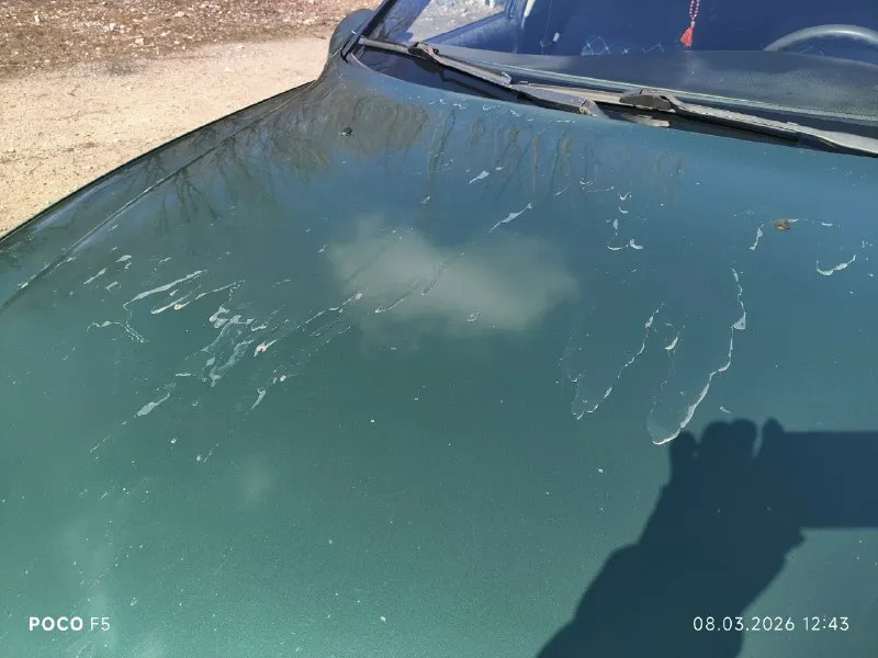 Продам opel вектра б 1996 года, двс 1.6, моноинжектор. авто на ходу, срочных вложений не требует, езжу каждый день, но руки приложить надо. касаемо кузова на фото видно и годы берут своë. отдам летнюю резину в подарок, цена 150 тысяч без торга (торговаться не буду), продаю так как приобрела себе другой автомобиль. продажа не спешная, за 100 не отдам, можете себе жигули купить. авто находится в днр г. макеевка, я собственник. с документами всё в порядке. +7949-363-06-99 📞 звоните: +7(949)3630699 - фотография - 3