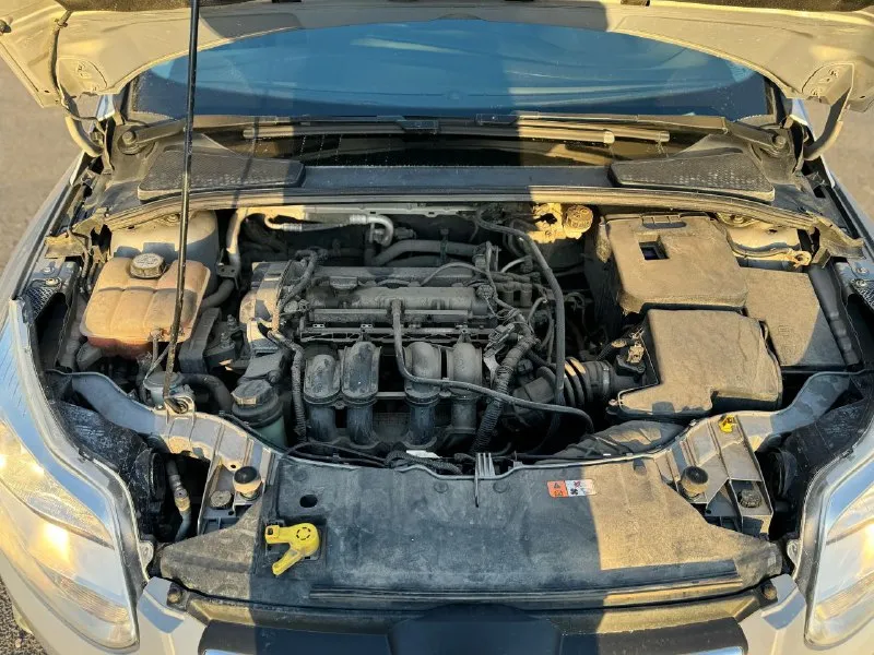 Ford focus 3 225.000 км 1.6 ухоженная, не выкатанная машина в достойном состоянии. в родном окрасе, стекла в круг родные. двигатель и коробка работает в штатном режиме. салон в отличном состоянии. автотека зеленая, пробег оригинальный. комплект грм поменян 15.000 назад. в целом несмотря на года машина выглядит современно, а также имеет все необходимые функции для комфортной езды. адекватному покупателю отдам комплект дисней резины на шматках. из недостатков нужно заменить два задних амортизатора. цену ставлю самую низкую в мариуполе на связку 1.6 (125 л. с) + поэтому глобального торга не ожидайте, чисто символически уступлю. обмен, площадки, перекупы - не интересно, обязательное переоформление в течение 10 дней. 750.000₽ +79498477010 tg: @bestrek1 📞 звоните: +7(949)8477010 - фотография - 7