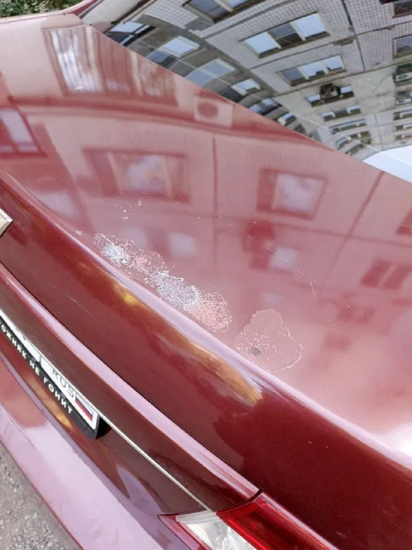 Продам свою машинку шевроле эпика, 2008 года выпуска. 2 л ( 143 л. с.) механика. круиз - контроль, климат - контроль, 4 эсп, подогрев сидений, магнитола новая (старую отдам) она у меня третий год, менялось много всего и во время, в том числе рулевая рейка (отдам старую под восстановление на всякий случай). двигатель с пробегом 135 тысяч установлен в июле 2025 (старый отдам в разобранном виде, голова проточена, ). по ходовке все заменено. менялось сцепление, компрессор кондиционера, передние ступицы. заменено масло и фильтра. установлено гбо, не зарегистрировано, но устанавливалось в таганроге и есть все документы. так же могу снять, без проблем. в серьезных дтп не была, были притертости и соответственно окрасы. салон кожа, все целое. на учёте на мне, переоформление без проблем. машина каждый день на ходу. по кузову есть недостатки, машина не новая. да и вообще всегда есть к чему стремиться и приложить руки. цена 580 ₽, торгуюсь при виде денег. +79495015550 донецк - фотография - 5