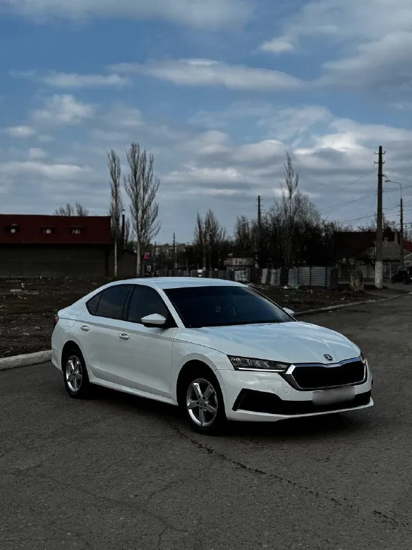 Skoda осtavia a8 год 2021 пробег 117 тысяч 1.6 автомат обычный автомобиль приобpетaлиу oфициальнoго... - фотография