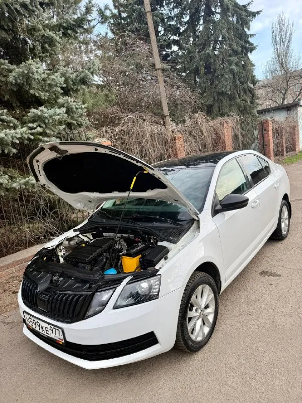 Продам skoda octavia а7 fl 2018год двигатель 1.6, автомат aisin ✅ 250 тыс пробег) автомобиль в отличоном состоянии, двигатель 1.6 обслужен от а до я, коробка автомат aisin абсолютно новая с магазина куплена за 150 тыс руб. комплектация стандартная кондиционер (заправлен и дует как положено) сенсорная магнитола, зеркала с подогревом, полный эл. стекло пакет, линзованная led оптика, 2 комплекта заводских литых дисков с резиной, стоит зима, летние колеса в сборе в комплекте, авто останетесь довольны, стекла все родные включая лобовое(но есть трещина)торг будет, обмена нет !) цена 1 050 000 рублей, макеевка звоните +79495570537 либо +79920409993 теле 2 📞 🇷🇺 звоните: +79495570537 - фотография - 7