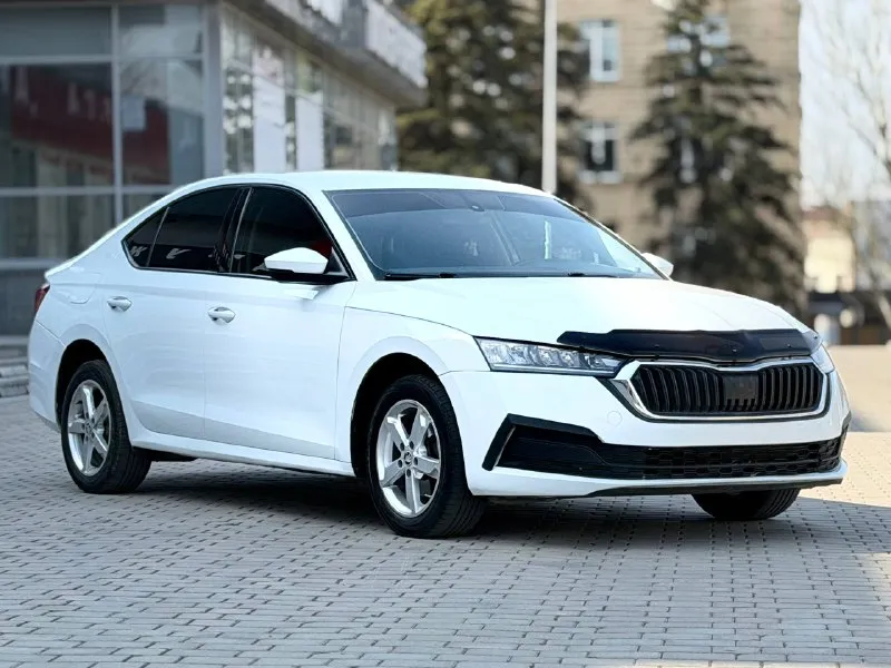 Skoda octavia a8 год 2021 1.6 бензин автомат пробег 117 родной автомобиль в отличном состоянии компл... - фотография
