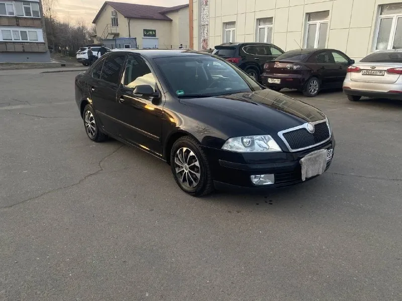 Skoda octavia a5 2004г. двигатель: 2.0 tdi 140л. с. мкпп 6ст. пригонялся в 2017г. с германии, с тех пор в одних руках. за машиной следили от а до я, передняя ходока в идеале, задняя в идеале, грм, помпа, масла поменяны 3000 км назад, коробка, турбина, двигатель работает отлично, двигатель заменён на контрактный 30000км назад, расход по городу 7л на 100км, для зимы обработана в 2024 году, гнили вздутий нет. отличное состояние для своих лет. -датчик света -датчик дождя -подгрев передних сидений -обогрев заднего стекла -обогрев зеркал заднего вида -климат контроль -круиз контроль -мульти руль -задний парктроник -линзы в фарах, электрорегулировка по высоте -противотуманные фары viper -автоматическое затемнение зеркала заднего вида -переднте, задние стеклоподъемники цена 840000р +79490585729 📞 звоните: +7(949)0585729 - фотография - 8