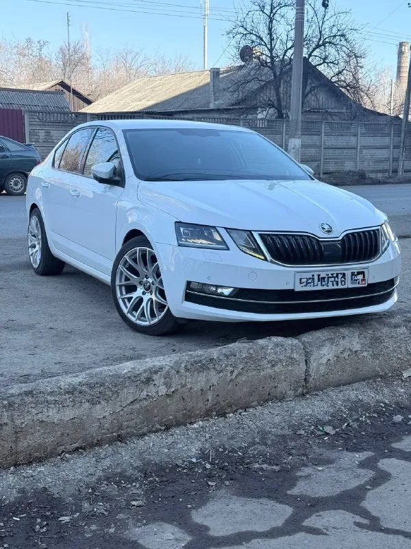 Продам skoda октавию а7 рестайлинг, пробег 180 тыс. 2017 год, по машине нет вопросов вообще, вся ходовая часть новая, есть чеки и наряды, грм и помпа новая, новые свечи оригинал, масло в дсг и в двс поменяло, помыты радиаторы и заправлен кондиционер, новая резина с новыми р18 дисками, самая максимальная комплектация, сидения с памятью, алькантара со вставками кожи, без ключевой доступ, автопарковка, большой монитор сенсорный, подсветка карт дверей с функцией изменение цвета. хорошая музыка, лучше чем штатная музыка. все вопросы по телефону, расскажу и покажу машину и съезжу на любую сто. цена 1.850 торг +79494013250 макеевка 📲 tg: @emilahmedov26 📞 звоните: +7(949)4013250 - фотография - 3