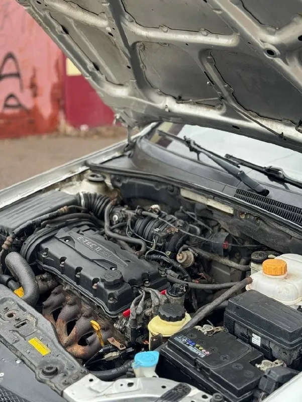 Автор: продам chevrolet lacetti 2011 года выпуска. Состояние кузова на 5/5, без рыжиков. Дно в идеальном состоянии двигатель 1.4, едет бодро, масло не берет. Коробка работает идеально, все передачи на месте. Комплектация: 2 стеклоподъемника, кондиционер, abs, усилитель руля. Состояние салона на 4/5, после химчистки. Печка жарит. На автомобиле стоят r15 литые диски, на новой зимней резине. В комплекте отдаем запаску. Из недавних работ по авто было: двигатель полностью переуплотнен ( прокладка гбц, прокладка клапанной крышки, сальники рв, кв, сальники клапанов ) все прокладки выхлопной системы, гофра, подушки двигателя, кулиса, установлен хороший свет. Цена: 360.000₽, + ( адекватный торг ). Автомобиль находится в енакиево +79495119799.. !!!наш телеграм канал [ бесплатное размещение за репост!!! Правила сообщества [ мы в мах [ [
📞 Звоните: +7(949)5119799 - фотография - 6