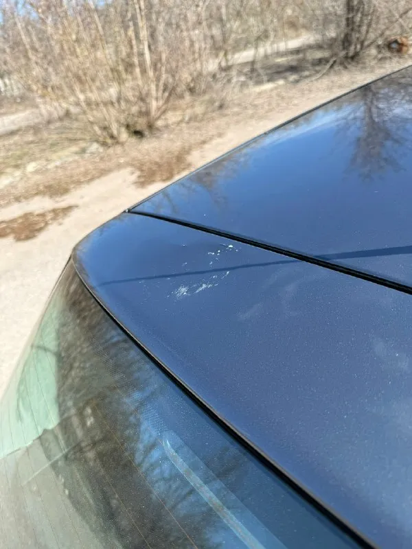 Продам golf 4 1.6 16v (aus) 2001г, в очень хорошем состоянии, владею с 2020 года машиной, машина не разу не подвела, пригонялось авто с европы, был один владелец с 2001г во франции, я второй, замена масла раз в 7500, обслуживалась всегда самыми хорошими запчастями, чтоб если поставил и забыл, кондиционер морозит, мотор масло не берет стоит хорошая магнитола с усилителем aura, хорошие динамики(dinamic state). в комплекте с машиной отдам два комплекта хорошей резины, лето kumho(1сезон), зима nokian(2сезона) видеорегистратор тоже в комплекте. машину очень люблю и буду очень рад если она попадет в хорошие руки цену вижу 500к, звоните все расскажу и покажу из минусов, на лобовом есть трещина, сверху на крышку багажника с крыше чтото упало, и немного её повредило, на фото постарался показать г. донецк +79493394961 📞 звоните: +7(949)3394961 - фотография - 6