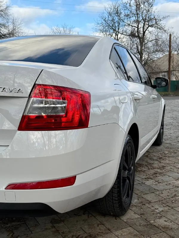 Skoda octavia a7 год: 2014 двигатель: 1.2 турбо (105л. с.) коробка: dsg dq 200 пробег 269000 км машина в отличном состоянии, не бита, не крашена, вся в родном окрасе. не такси, без расчетов, зеленая автотека. машина обслужена, заказ-наряды на работы есть. из последнего 20000 км назад по рекомендации сервиса заменили комплект сцепления + маховик. по двигателю тоже был ремонт. никакого колхоза по электрике нету, все по штатному. новый аккумулятор. салон чистый, не прокурен, без дыр, без потёртостей, без трещин. состояние салона отличное. по кузову вздутий, рыжиков нет нигде. двигатель не троит, масло не кушает совсем, коробка без нареканий(после ремонта)щелкает передачи очень мягко, печка греет кондиционер морозит, по электрике все работает, два комплекта резины зима(новая) лето(сезон отъездила). установлена сигнализация с автозапуском starline. больше видео и фото могу скинуть по вашему запросу. осмотр г. антрацит +79593008531 +79593011925 💸 цена 📞 звоните: +7(959)3008531 - фотография - 4