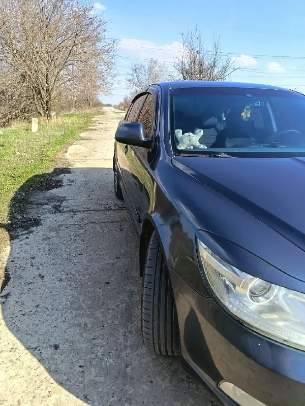 Продам шкода а5 1.8tsi 2011г. 260т. пробега. по комплектации датчик дождя и света, круиз, подогрев сидений, кондиционер рабочий, двухдиновая магнитола с камерой заднего вида, новая летняя резина, полностью новая ходовая перед и зад, новые блины но есть небольшие недочеты по кузову расскажу по телефону 720т. ₽ торг +79493558647 - фотография - 5