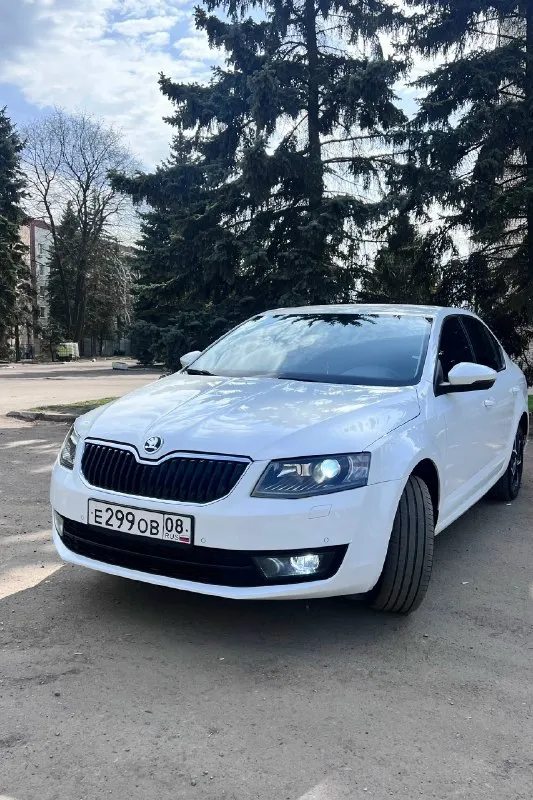 Шкода марка: octavia a7 год выпуска: 2016 пробег: 230.000 км ( родной ) автотека * 1.8 tsi 180 лс. 2 ключа 2 хозяина коробка двигатель обслужен ! хорошая комплектация, климат контроль, подогрев сидений в круг, датчик дождя. технически полностью обслуженная машина, без вложений! , коробка, ходовая все в отличном состоянии. абсолютно всё в автомобиле работает! каждая кнопочка нажимается, каждая лампочка светится! led optica вложений не требует абсолютно не каких звонить цена +79498046464 цена 1.320.000 торг 📞 звоните: +7(949)8046464 - фотография - 1