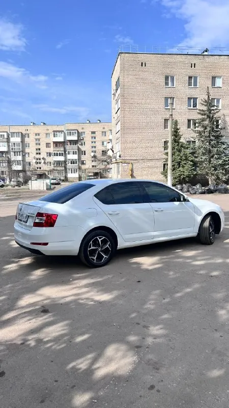 Шкода марка: octavia a7 год выпуска: 2016 пробег: 230.000 км ( родной ) автотека * 1.8 tsi 180 лс. 2 ключа 2 хозяина коробка двигатель обслужен ! хорошая комплектация, климат контроль, подогрев сидений в круг, датчик дождя. технически полностью обслуженная машина, без вложений! , коробка, ходовая все в отличном состоянии. абсолютно всё в автомобиле работает! каждая кнопочка нажимается, каждая лампочка светится! led optica вложений не требует абсолютно не каких звонить цена +79498046464 цена 1.320.000 торг 📞 звоните: +7(949)8046464 - фотография - 4