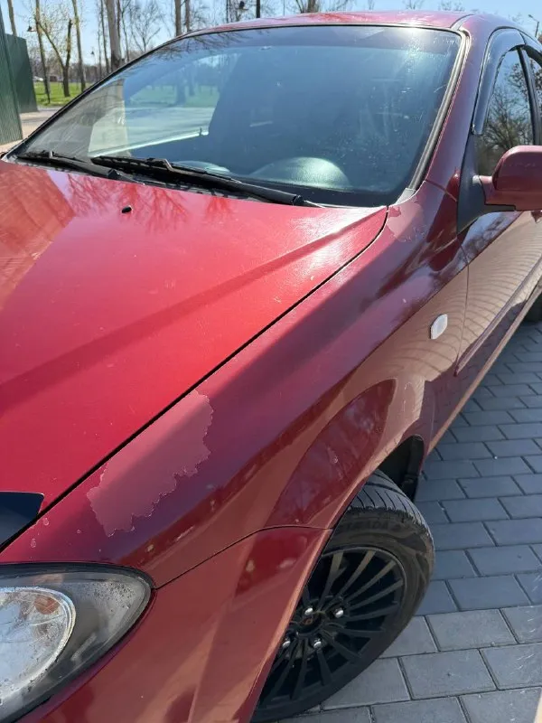 Продам chevrolet lacetti (хэтчбек).
Собственник, владею авто 3.5 года.
1.6 Мотор, 109 л. С. , механика, 2007 год, 228000 пробег.
Комплектация: гур, abs, кондиционер, 4 стеклоподъемника, центральный замок, подогрев боковых зеркал.
Доустановлены: сигнализация, доводчики всех стекол, диодные противотуманки, сенсорная магнитола, камера заднего вида, легкосплавные. Также перешит руль и рычаг кпп, салон в чехлах с первого дня владения, зашумлены капот и передние арки.
По технике нареканий нет. Все работает ровно, то проводилось вовремя (последнее то 222500, следующее на 230000), замена масла каждые 7-8 тыс. Заменено из основного: радиатор, лобовое стекло, передние амортизаторы в сборе, масло в коробке, в остальном по мелочи.
По кузову есть нюансы, нужно заниматься.
Цена – 400 000 без торга.
+7 949 429 59 98, Г. Донецк.

📞 Звоните: +7(949)4295998 - фотография - 10