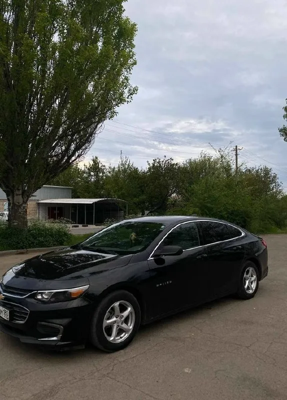 🛞К продаже – chevrolet malibu🛞 1.5 turbo, акпп 🚘 пробег: 149 000 км. 🔥 покупалась при пробеге 91 000 км. 💥 год выпуска: конец 2016 года, модельный ряд 2017 года. ⚡️ -владельцев по птс: 2. -мультируль. -электро-зеркала. -датчик света. -картплей. -круиз контроль. -хороший свет. -старт стоп. -без ключевой доступ. -камера заднего вида. -новая летняя резина. -полностью обслужена, обслуживалась всегда вовремя, на машину не жалели. Состояние отличное, сел и поехал. ❗️машина личная, не перепродажа❗️ (владею с сентября 2024 года. ) цена - 1.400.000🍋 тел: +79493009469
📞 Звоните: +7(949)3009469 - фотография - 1