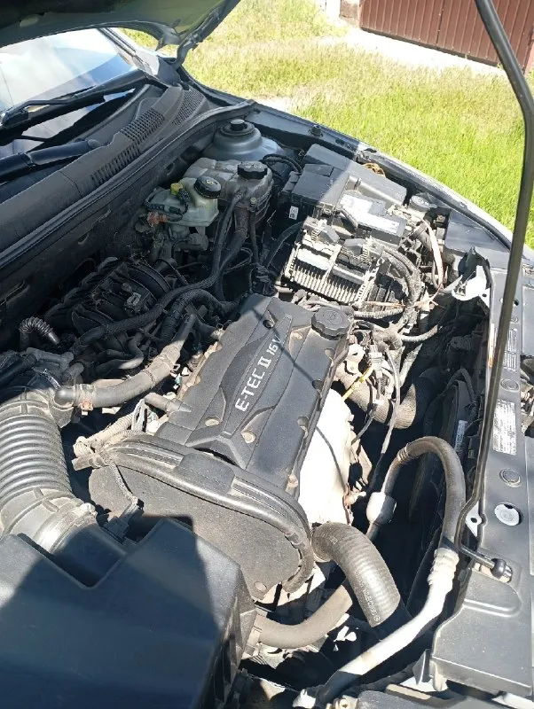 В продаже chevrolet круз (2012 года) двигатель 1,6 акпп состояние машины хорошее, родной окрас, резина летняя новая. Собственник. Цена 680к рублей+ хороший торг у капота. По всем интересующим вопросам звоните по номеру +79493847396
📞 Звоните: +7(949)3847396 - фотография - 3