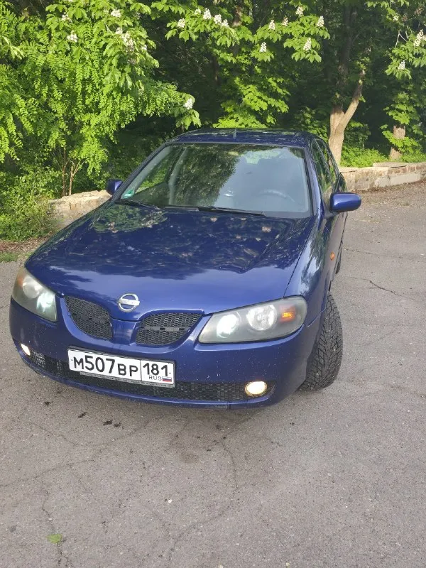 Продается almera  2004-го года синий.   2.2 турбо 136 лошадиных сил. Машина на полном ходу вложений не требует в подарок идёт набор колес летних. С учетом веса машины и такого двигателя едит бодро. 6 ступенчатя механическая  коробка передач. Расход по городу 6.7 л при спокойной езде. Пробег на машине 266 тыс км. На 230 была капиталка двигателя замена распредвала
Полгода назад замена ходовки.
Смена технические жидкости 4000 километров назад.
Машина имеет кузавные дефекты по лако красочному покрытию. Из комплектации кондиционер стеклоподъемники гур. Салон обтянут кожаными чехлами.
Цена 330 тысяч рос. Руб. Адекватный торг уместен.
Тел +79593035785 алексей.
📞 Звоните: +7(959)3035785 - фотография - 1