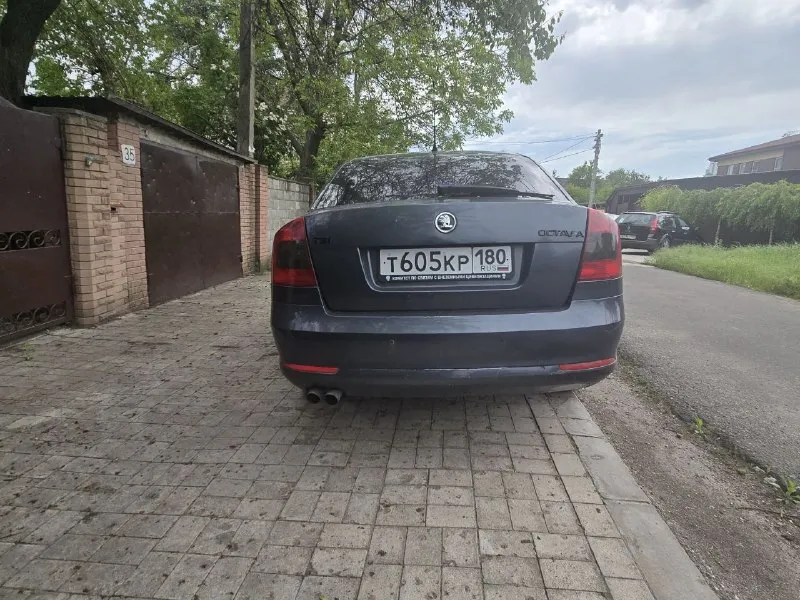 Продам шкода октавия а5 2010г. мотор 1.8турбо работает ровно масло не расходует. коробка (дсг) не пинает работает как надо. пробег 170к. по кузову есть моменты не критично. цена 800 тыс руб +79493924410 - фотография - 4
