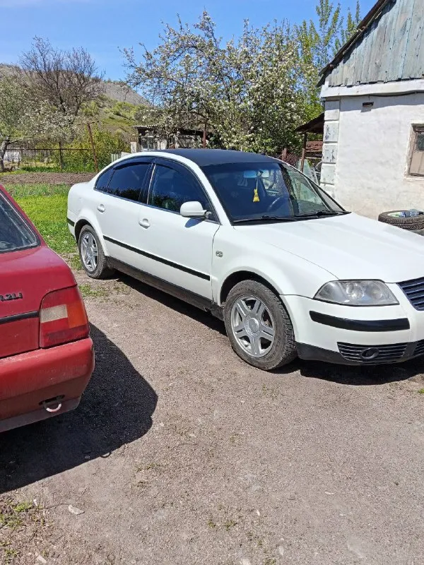 Продам volkswagen пассат б5+, двигатель 1.9 турбо механика), в хорошем состоянии. 2 эсп, абс, кондиционер, центральный замок. электрика вся исправна, установлена андроидная магнитола, была произведена замена всех рычагов, стоек, рулевых наконечников, рулевых тяг, замены вкруг тормозные колодки, заменены все фильтра, ремень грм. документы в полный порядке. цена 420т. р. территориально:г. комсомольское, старобешевский р-н. ☎️ тел:+79493560448 📞 звоните: +7(949)3560448 - фотография - 2