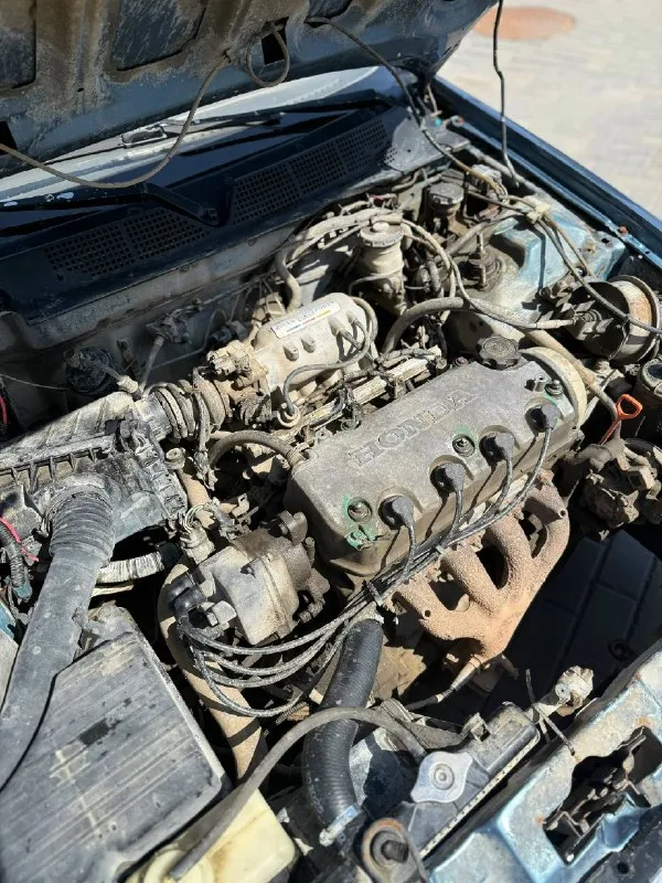 Honda civic ek 1.6 mt 🇨🇦🏎️ легкий, бодрый и стильный civic, который одинаково кайфово подходит как для города, так и на каждый день. что по технике: • d16 — мотор едет бодро • мкпп s40 короткоходная — четкие переключения • по подвеске без лишних звуков • стойки kyb комплектация: • электрозеркала usdm • 4 электростеклоподъемника • рабочий круиз-контроль • подлокотник • подстаканники • музыка: 4 колонки • сигнализация + центральный замок • козырьки с зеркалами • складывающийся задний диван * кондиционер есть, но надо докупить радиатор внешка: • яркий кузов с характером • интересные диски с хорошим вылетом • взгляд цепляет, стиль есть нюансы: • лкп не идеал, местами полезший лак •мятый капот и переднее крыло итог: по цене мертвых приор и грант вы получаете надежный, простой и недорогой civic без сюрпризов и приколов. отличный вариант на каждый день: экономичный, удобный, живой и с эмоциями за рулем. цена 265₽ торг доп фото и подробности в лс либо +79493818867 📞 звоните: +7(949)3818867 - фотография - 6