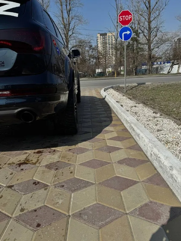 🚗 q7 4l 2011 авто в отличном состоянии есть мелкие дефекты по лкп не критично авто находится в ростове на дону, рассмотрю обмен с вашей доплатой в авто все новое мотор на ура вложено более 2 🍋 цена: 2800000 ₽ 📲 tg: камуфляж tactical 📞 🇷🇺 звоните: +79612762777 авторынок днр донецк - фотография - 5