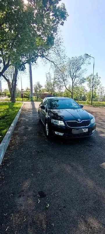 Продам skoda octavia 2014 tsi 1.4 (140л. с.) 258000км. цена 1.150.000₽ пред максимальная комплектация, двухзонный климат контроль, мульти-руль, новая резина. технически обслужен: заменены все расходники и жидкости. состояние сел и поехал. тел. +79497058022 г. мариуполь - фотография - 1
