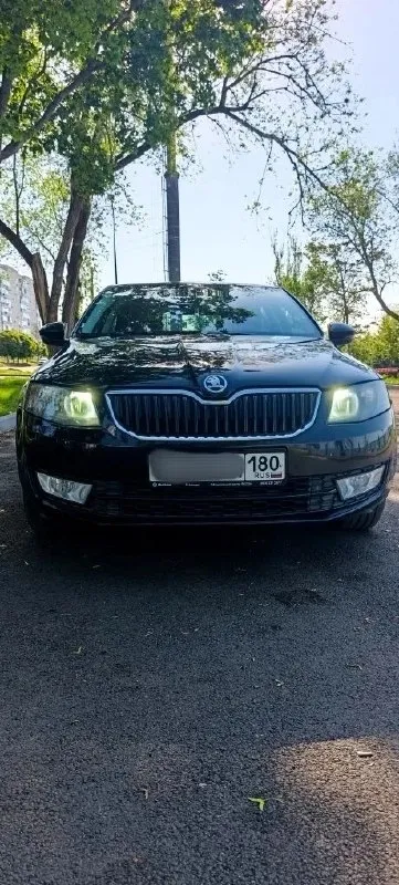 Продам skoda octavia 2014 tsi 1.4 (140л. с.) 258000км. цена 1.150.000₽ пред максимальная комплектация, двухзонный климат контроль, мульти-руль, новая резина. технически обслужен: заменены все расходники и жидкости. состояние сел и поехал. тел. +79497058022 г. мариуполь - фотография - 2