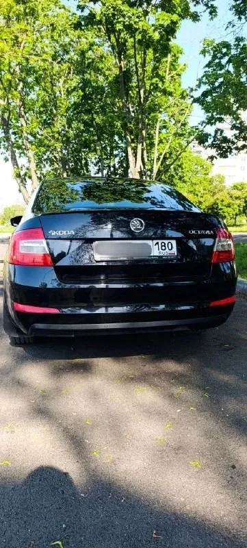 Продам skoda octavia 2014 tsi 1.4 (140л. с.) 258000км. цена 1.150.000₽ пред максимальная комплектация, двухзонный климат контроль, мульти-руль, новая резина. технически обслужен: заменены все расходники и жидкости. состояние сел и поехал. тел. +79497058022 г. мариуполь - фотография - 3