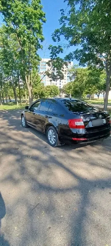 Продам skoda octavia 2014 tsi 1.4 (140л. с.) 258000км. цена 1.150.000₽ пред максимальная комплектация, двухзонный климат контроль, мульти-руль, новая резина. технически обслужен: заменены все расходники и жидкости. состояние сел и поехал. тел. +79497058022 г. мариуполь - фотография - 6