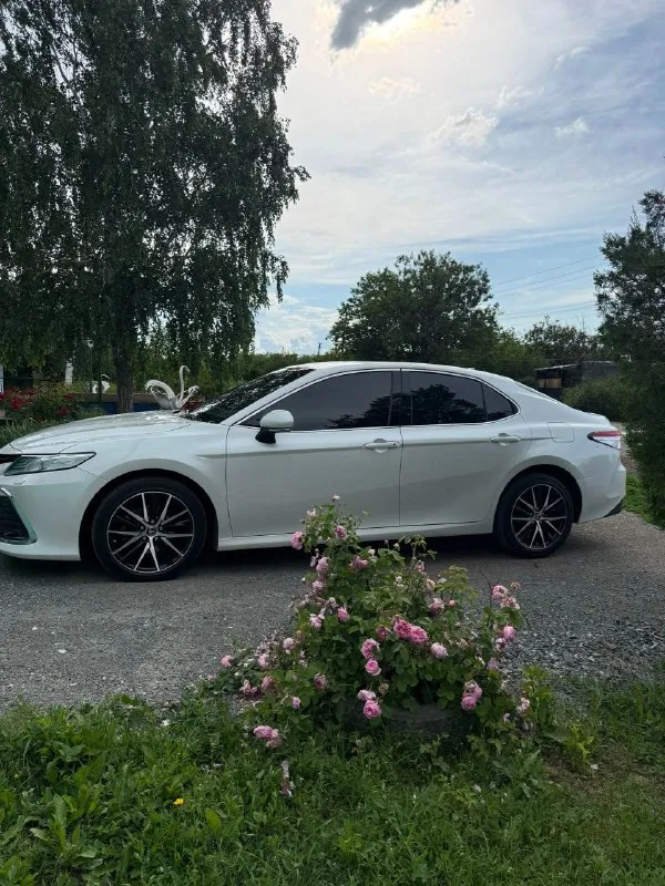 Продаётся toyota camry 75, белый перламутр цвет, полная комплектация. надёжный седан бизнес‑класса — идеальный выбор для деловых поездок и семейных путешествий. комплектация - мульти руль -обогрев и обдув сидений -3 зоный климат -датчики слепых зон -доводчики дверей - память сидений -адаптивный круиз контроль - 12 дюймовый планшет -обогрев руля -без ключевой доступ в общем самая полная комплектация для мотора 2,5 (оригинал не китай) в дтп машина не участвовала, вся в броне плёнке в родном окрасе включая бампера. доп функции, удержание полосы, распознавание знаков владею более 2 лет оформлена на меня пробег родной 84т обслуживания строго по регламенту цена- 4 500 000р торг минимальный, с продажей не спешу. связь +79494689735 звоните в любое время и только заинтересованым людям (обмен не предлагайте ) - фотография - 6