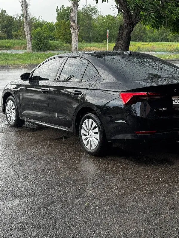 Skoda octavia а8 1.4 турбо год 2022 коробка автомата асин не д с г автомобиль очень комфортный очень бодро едет один владелец автомобиль без дтп машина покупалась в официального дилера не путать с китаем состояние идеальное цена 1.🍋920 торг +79485672089 ▶️смотреть больше фото◀️ 📲 tg: @mark_karpovich1 📞 звоните: +7(949)5672089 - фотография - 2