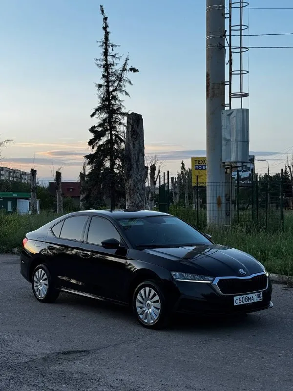 Skoda octavia а8 1.4 турбо год 2022 пробег 220000 коробка автомата асин не д с г автомобиль очень комфортный очень бодро едет один владелец автомобиль без дтп заводском окрасе машина покупалась в официального дилера не путать с китаем состояние идеальное цена 1.🍋920 торг +79495672089 📲 tg: @mark_karpovich1 📞 звоните: +7(949)5672089 - фотография - 5