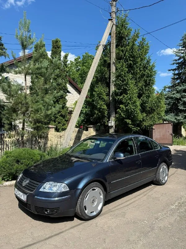 Продам свой личный volkswagen пассат 2004г. в. , я собственник, зарегистрирован на меня пробег 260 тыс. км. про автомобиль могу рассказывать много и долго. хорошая комплектация, руль 3 спицы, подогрев сидений, климат, зеркала с поворотником, последний год выпуска кузова б5.5 мотор обслужен, менял сальники клапанов, холодные свечи, красные катушки нжк, новый поддон, новые трубки на маслонасосе, жидкости все заменены, радиаторы вымыты, дикости все новые. замена масла раз в 5 т. к. расхода масла нет! подвеска новые перед рычаги все, новая евро-подвеска пружины+стойки, ничего не стучит и не гремит, жирный стаб с w8 b5, машина заходит в повороты уверенно кузов оцинкованный, коррозии нет, было пару косметических окрасов, ничего критичного, безопасность целая, проемы все целые. кузов в керамике. стоят дорогие 17 кованные диски с audi а8 д2, без них будет хороший торг. цена 680 тыс. зеркальный номер в подарок. звоните, пишите, торг минимальный +79493795437 макеевка 📞 звоните: +7(949)3795437 - фотография - 3