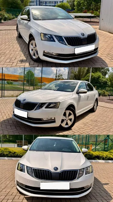 Skоda octavia а7 2018 года выпуска ноябрь месяц. ( мотор 1.4 турбо автомат) ✅ в очень хорошем соcтоянии ✅идеальная техническая часть (обслужена полностью от а до я, своевременное обслуживание ✅мотор работает тихо без посторонних шумов ✅коробка переключается великолепно ✅ходовая плотная, без нареканий авто не бит и не крашен в заводском окрасе. оригинальный птс 2 владельца комплектaция носkey еditiоn. зимний пакет (подогрев всех сидений подогрев руля и лобового и заднего стекла и боковых стекол), датчики света/дождя, автозатемнение зеркала, круиз + ограничитель, штатная аудио система (аndrоid аutо / саrрlаy), 8 динамиков, парктроники перед/зад, 220в и usв сзади, мультируль. сигнализация пандора с автозапуском практически новая летняя резина на литых заводских дисках. двери в шумке(шумофф). замена масла каждые 7 тыс. км. расхода масла нет. машина не требует вложений, родной пробег. очень динамичный, экономичный и комфортный автомобиль. цена 1.350.000 продажа срочная. машина очень хорошая донецк +79495369870 - фотография - 6