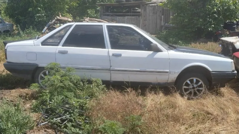 Продам renault 21 1988года на ходу передний привод машине без документов цена 25000р без торга приехали забрали машина находится в иловайске без музыки номер для связи +79491310410
📞 Звоните: +7(949)1310410 - фотография - 1