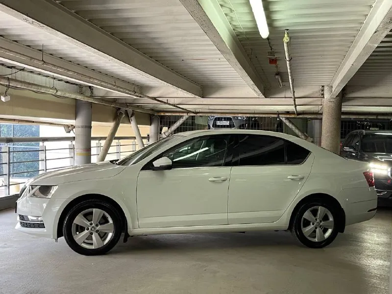 Срочно продаю skоda octavia а7 (ноябрь 2018). Двигатель 1.4 турбо, автомат. Состояние отличное, не бит, не крашен. Птс оригинальный, 2 владельца. Комплектация носkey еditiоn: зимний пакет (подогрев сидений, руля, стекол), датчики света/дождя, автозатемнение зеркала, круиз-контроль, android auto/carplay, 8 динамиков, парктроники, 220в и usb сзади, мультируль. Сигнализация пандора с автозапуском. Новая летняя резина на заводских дисках. Шумоизоляция дверей. Замена масла каждые 7 тыс. Км, расход масла отсутствует. Без вложений. Цена 1.300.000 (ниже рынка). Таких цен нет!срочно торг!!
Донецк +79495369870. - фотография - 7