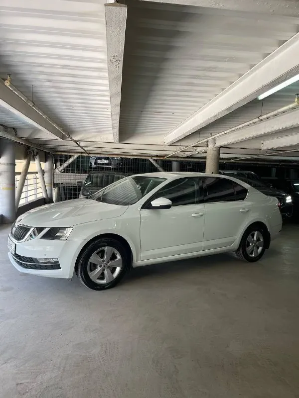 Срочно продаю skоda octavia а7 (ноябрь 2018). Двигатель 1.4 турбо, автомат. Состояние отличное, не бит, не крашен. Птс оригинальный, 2 владельца. Комплектация носkey еditiоn: зимний пакет (подогрев сидений, руля, стекол), датчики света/дождя, автозатемнение зеркала, круиз-контроль, android auto/carplay, 8 динамиков, парктроники, 220в и usb сзади, мультируль. Сигнализация пандора с автозапуском. Новая летняя резина на заводских дисках. Шумоизоляция дверей. Замена масла каждые 7 тыс. Км, расход масла отсутствует. Без вложений. Цена 1.300.000 (ниже рынка). Таких цен нет!срочно торг!!
Донецк +79495369870. - фотография - 8