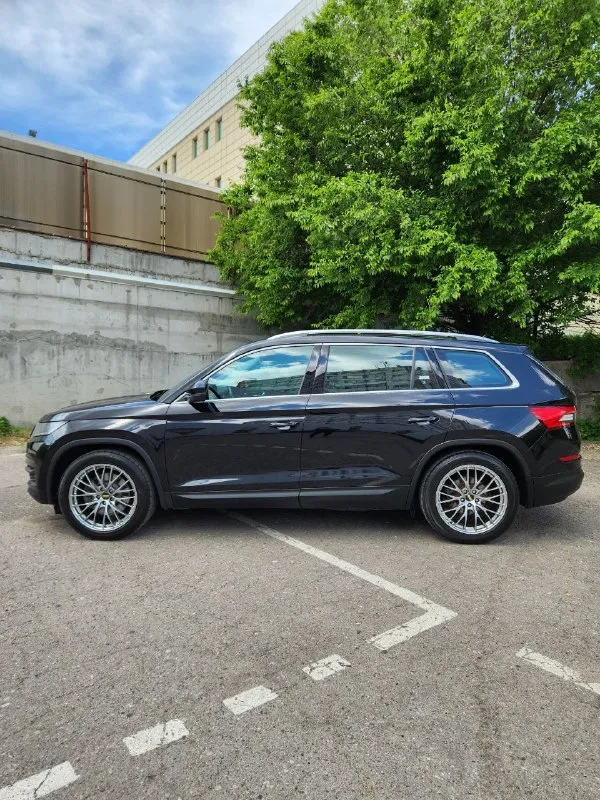 Skoda kodiaq 2.0 amt, 2019 4×4. 126 тыс. Км. Машина в очень жирной комплектации стайл+: алькантара, панорама, музыка canton, мертвые зоны, доступ без ключа, удержание в полосе, электропривод сидений с памятью, подогрев всего, руль, сиденья, лобовое, цифровая приборная панель full led, электропривод багажника, парктроники 360, светодиодная оптика, распознование знаков. И т. Д. Авто диллерский. Обслуживалась в skoda центр симферополь. Без дтп. Зеленая автотека. Технически в отличном состоянии. По кузову не крашена не одна деталь. В керамике. 3 ключа.   Спутниковая gsm сигнализация. Диски r19. Лето новое. Цена 3.1🍋 торг и полный бак бензина в подарок. +7 949 452-84-80 автомобиль достоин внимания. Всем мира и добра.
📲 Tg: андрей
📞 Звоните: +7(949)4528480 - фотография - 3