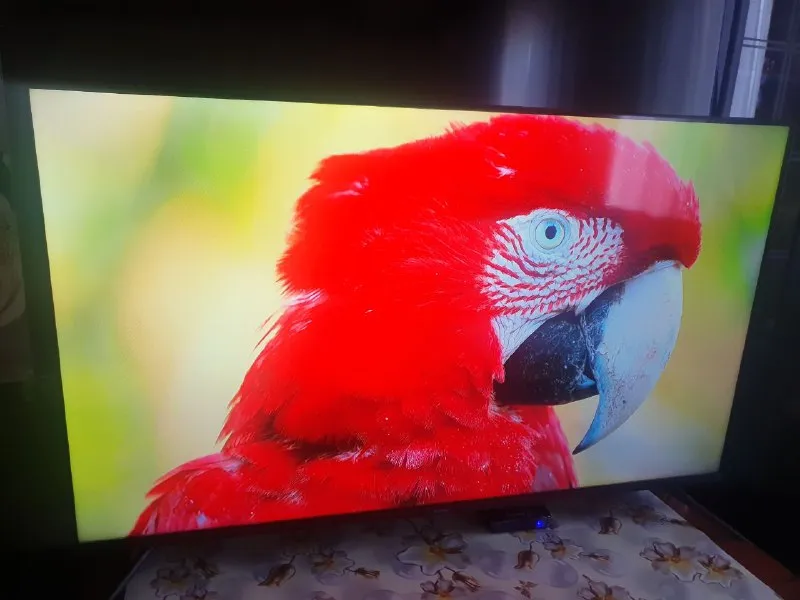 Описание: в продаже телевизоры. tcl 65c717.qled. 65 дюймов. 4k, wi-fi, t2, bluetooth, smart tv, android. цена 43000 руб. haier 50 smart tv dx. 50 дюймов. полный комплект. 4k, wi-fi, t2, bluetooth, smart, android. цена 23000 руб. lg 55 lv340c. 55 дюймов. премиум. практически не использовался. изображение супер. в комплекте smart приставка. без приставки дешевле. цена с приставкой 25000 руб. возможна доставка домой. цена: 23000 руб. 📲 tg: serg 📞🇷🇺звоните: +79493744070 барахолка днр - фотография - 4